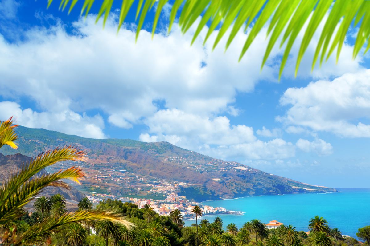 canarie