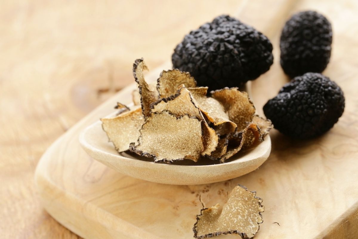 specie di tartufi più famose