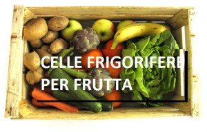 celle-frigorifere-per-frutta